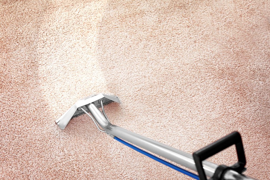 Top Advice on Carpet Cleaning for Christchurch Homeowners Maintaining fresh floor conditions